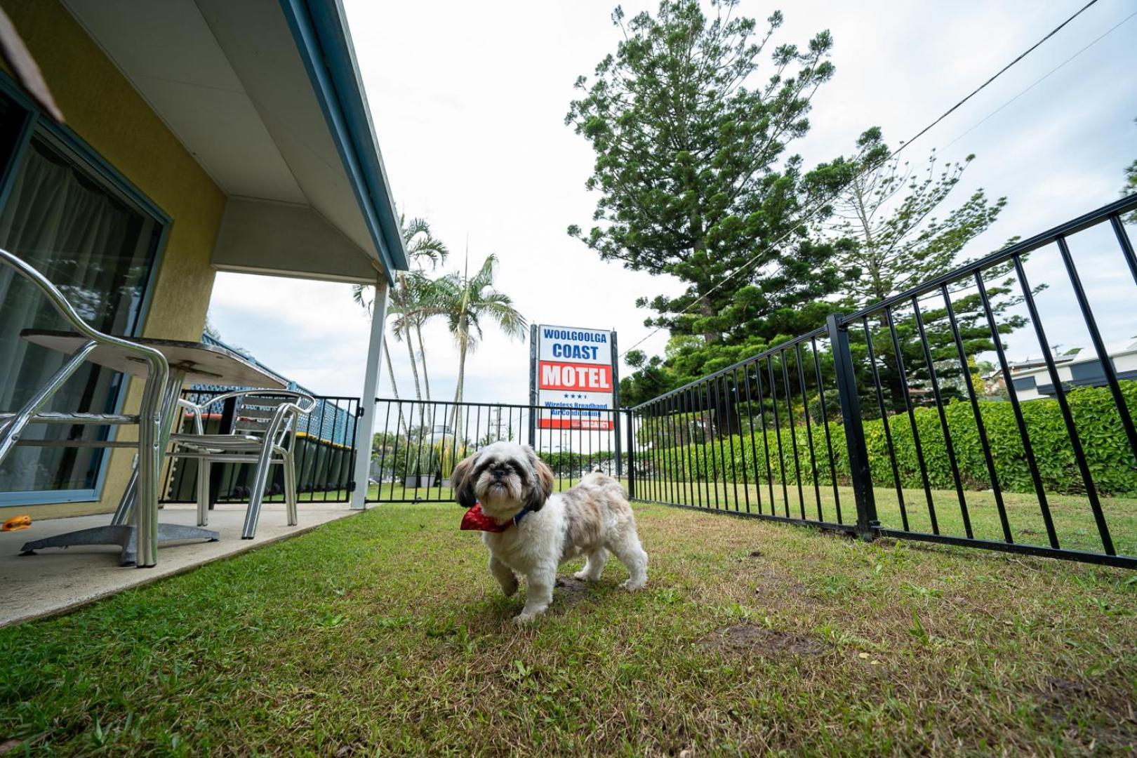 Woolgoolga Coast Motel Номер фото